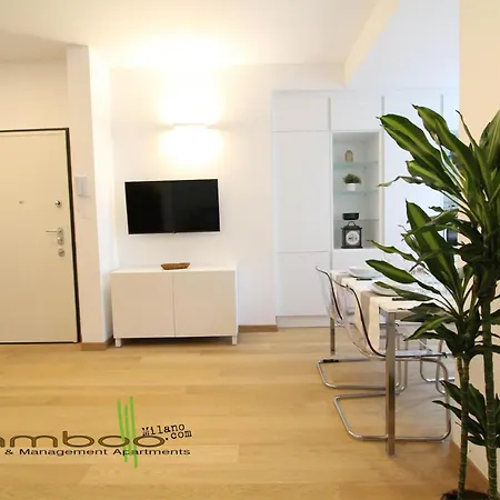 Bamboo Zezonplus * 밀라노