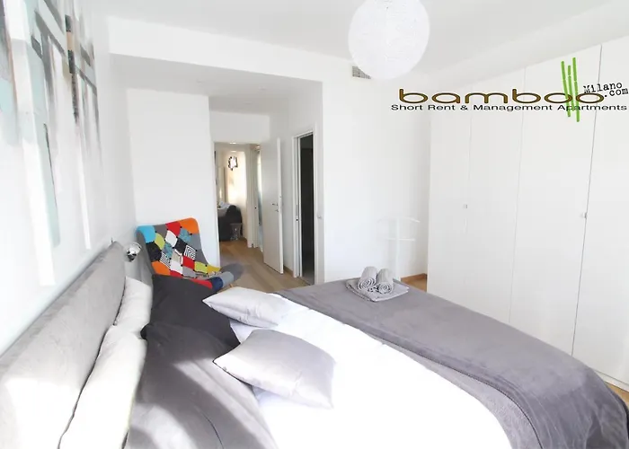 Bamboo Zezonplus *
