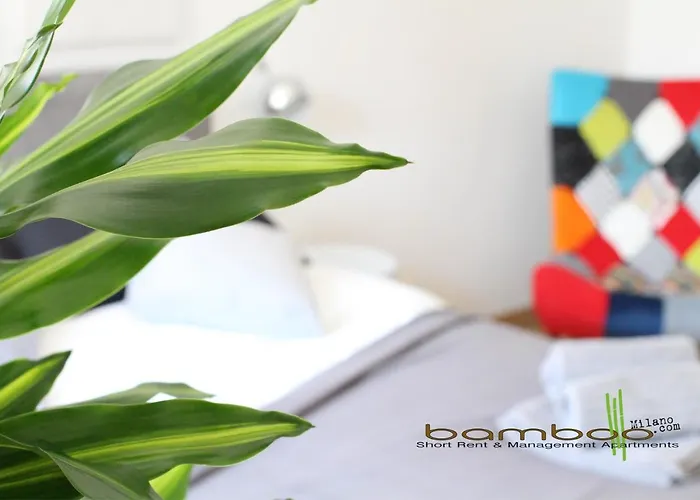 Bamboo Zezonplus Apartament