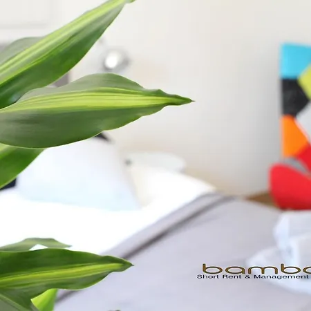 Bamboo Zezonplus Apartment